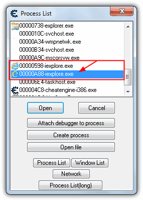 iexplore.exe process list