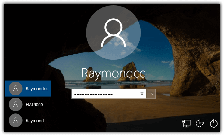 enter password on the windows logon screen